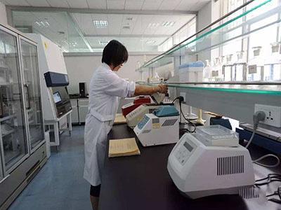 1590653955632298.jpg shixiao7.jpg